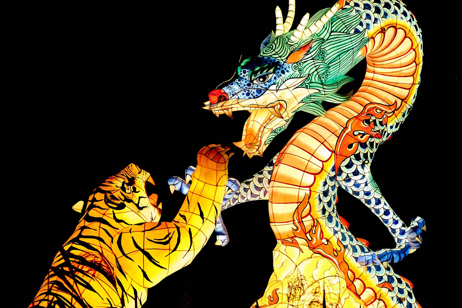 Tất cả những gì bạn cần biết về quy tắc Dragon Tiger
